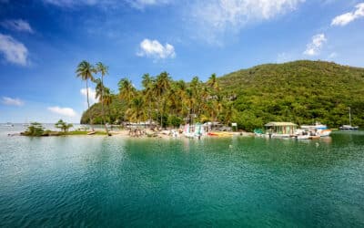 Tripps Worldwide Reviews The Best of Saint Lucia